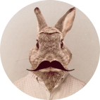 Illustration du blog avec un lapin en chemise